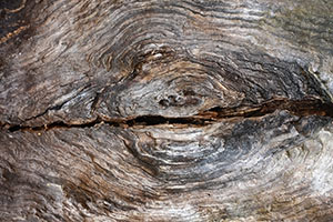 a close up of wood